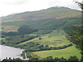 Meall Greigh from Drummond Wood above Fearnan