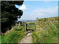 Gate to Rye Field