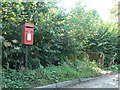 ST7808 : Ibberton: postbox № DT11 167 by Chris Downer