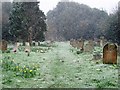 Dunwich cemetery, Easter 2008