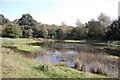 Pond at Wycke Meadow