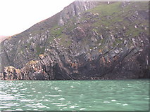 SN0041 : Contorted sedimentary layering at Dinas Head by Brendan Patchell