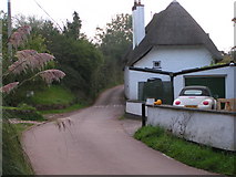 SS9101 : House and the lane going through Raddon by Rob Purvis