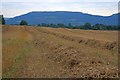 Freshly Harvested Field