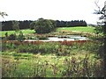 Pond near Craig Castle