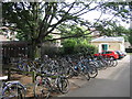 Cycle park - Downing College