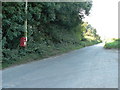 SY8797 : Winterborne Muston: postbox № DT11 30 by Chris Downer