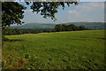 Farmland near Cilycwm