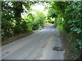 View along the Canterbury Road