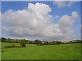 Pastures, West Knoyle