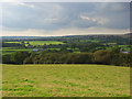 Mackintosh Davidson Wood, West Knoyle