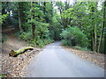 Track crossing road at Marley Heights