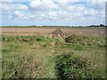 Public Footpath across the old Goxhill Airfield