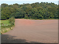 Ploughed field and Ridgehill Wood, west of  Wordesley