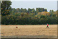 Walkies at Wall Heath, Staffordshire