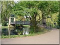 The suspension bridge: Wardown Park, Luton