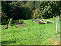 Vegetable plot, Pandycoed