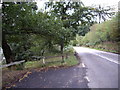 Access path to River Don