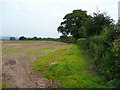 Stubble field edge