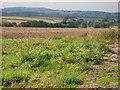 SO5124 : Farmland near Whitehouse Grange by Pauline E