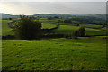 Farmland around Llwyn-celyn