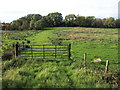 Gate and Field