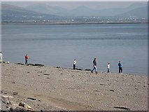 J2211 : Anglers on the beach at Greenore by Oliver Dixon
