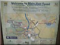 Cycle route information - Blairadam Forest