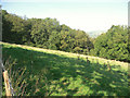 Field and woodland to the north of Coytrahen