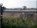 Fields and bales of hay