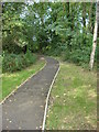 Footpath and woods, Clare Country Park