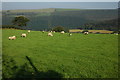 Farmland above Caio