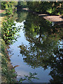 Stourbridge Canal near Wordesley Junction