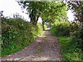 Track to Trecadwgan, Llanfihangel Abercywyn