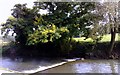 Small weir on the Ouse