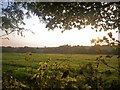 View over Rose Park at sunset, Llanteg