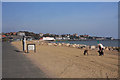 Dogs on the beach