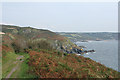SW7215 : Landewednack: the South West Coast Path above Poltesco by Martin Bodman