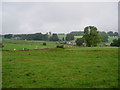 Blackwell in the Peak from the South East