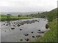 Ettrick Water at Singlie Hill