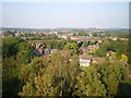 Northeast over Shifnal from the tower of St Andrew