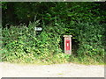 Uplyme: postbox № DT7 43, Rhode Lane