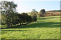 Fields N of Mochnant Farm