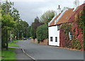 Village Street, Edwalton