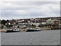 SX4455 : View of Torpoint from one of the ferry boats by Irene Marlborough
