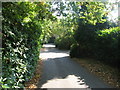 The Glade, from Brockley Grove