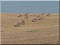 Bradford Peverell: bales in field