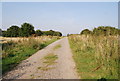 Track across the heath, East of Canterbury