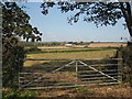 Recently harvested field at Venton Vedna