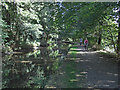 Rochdale Canal near Sowerby Bridge (2)